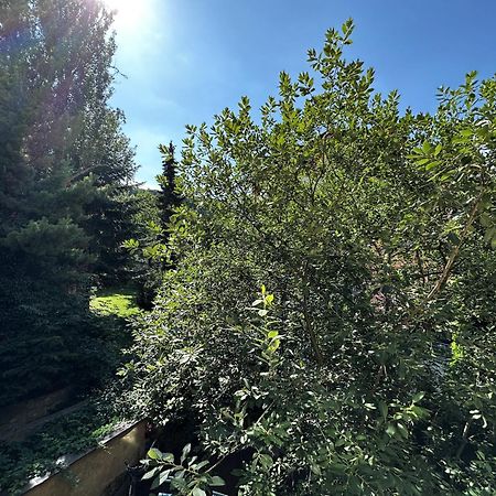 Black Eagle Apartments Прага Экстерьер фото